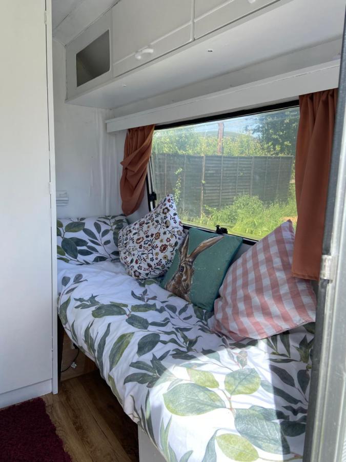 Cosy Caravan at Carrigeen Glamping Hotel Kilkenny Buitenkant foto